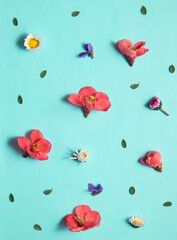 Spring flowers on mint background. Creative bloom concept. Minimalistic nature composition.
