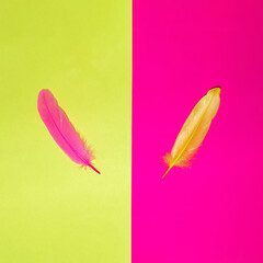 Pink and yellow feathers on opposite colored background. Minimalistic modern difference composition. Trendy softness concept.