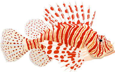 Pterois known as lionfish - vector illustration © Save Jungle