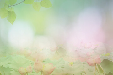 Blur circle bokeh green leaf background. Blurry yellow leaves ra