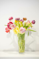 Amazing high key tulip vase picture very relaxing and cheerful. Pure spring image.