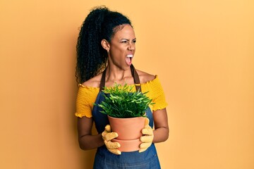 Middle age african american woman holding plant pot angry and mad screaming frustrated and furious, shouting with anger. rage and aggressive concept.