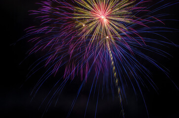 Fireworks at Night