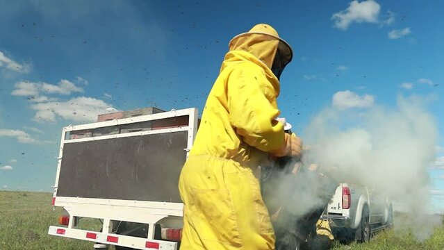 Apicultor  humeando abejas