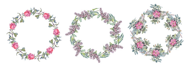 Set watercolor circle frame border template for design. Branch with flower dog rose and lilac isolated on white background. Hand-drawn summer plant with leaves. Copy space. Wedding invitation