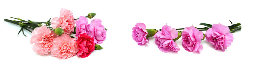 Stack carnations on white background 