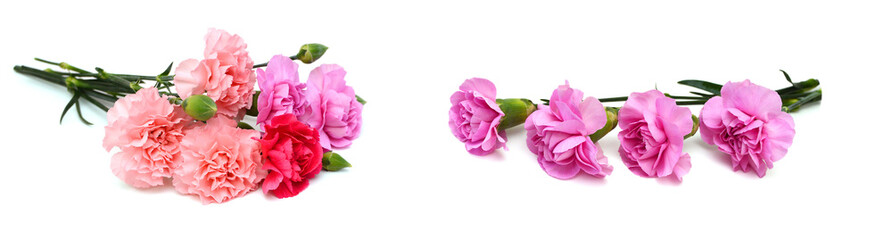 Fototapeta premium Stack carnations on white background 