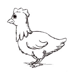 illustration of a chicken