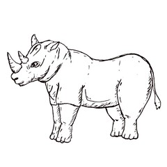 African rhinoceros Wild animal on white background.