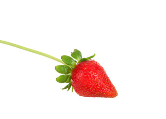One large fresh red organic strawberry with stem and leaves attached, isolated on white.