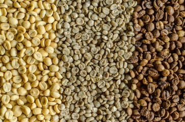 Three format of coffee bean on table