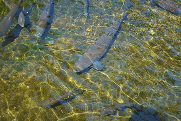 Spring is my favorite season