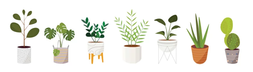 Tuinposter Potted plants collection on white background. Set of interior house plants with baskets, cactus, monstera, leaves and foliage. Different home indoor green decor illustration for decoration, art. © TWINS DESIGN STUDIO
