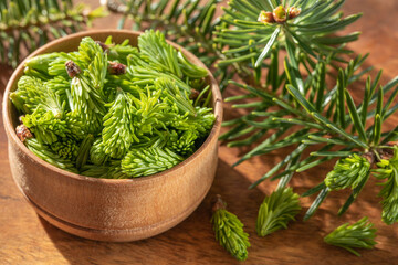 Young spruce shoots on a wooden background, spruce sprouts, natural remedy, alternative medicine