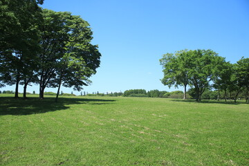 公園　風景