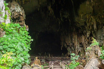 Cueva de las Lechuzas Tingo María la sierra medio del paisaje y montañas de la selva