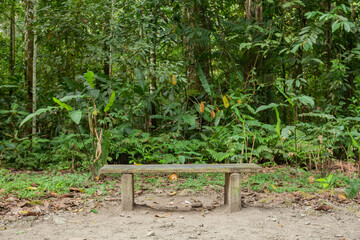 Banca de Tingo María la sierra medio del paisaje y montañas de la selva, silla
