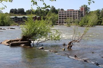 Beautiful Forest Hill Skyline View James River Richmond