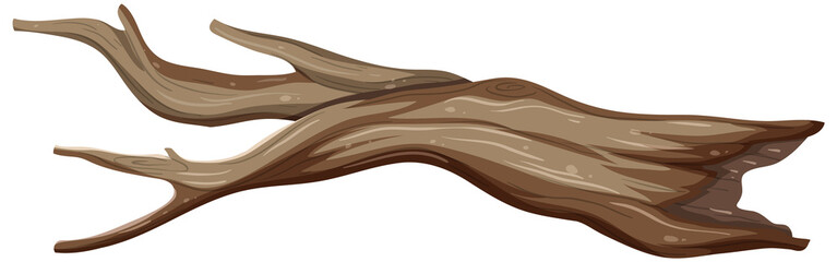 old tree branch on white background