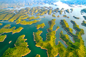 Fototapeta na wymiar Landscape Ta Dung lake seen from above in the morning with small islands many green trees in succession to create a magnificent beauty. This is the largest hydroelectric lake in Dak Nong, Vietnam