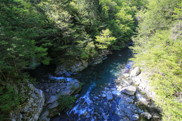 徳島県三好市　奥祖谷二重かずら橋　男橋からの風景