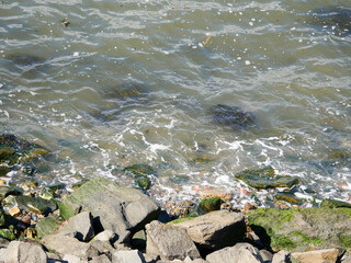 rocks in the water