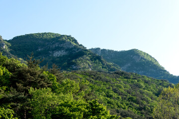 mountain landscape under blue sky