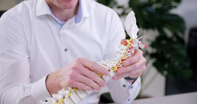 the chiropractor explains to the patient about cervical vertebrae on an artificial spine