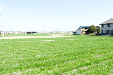 住宅と田園の融合