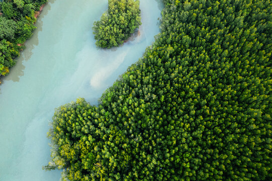 High angle mangrove forest and canal water