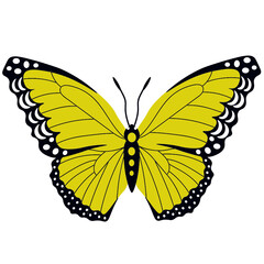 Butterflies. Insects. Multicolored.  Vector Clipart