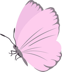 Butterflies. Insects. Multicolored.  Vector Clipart