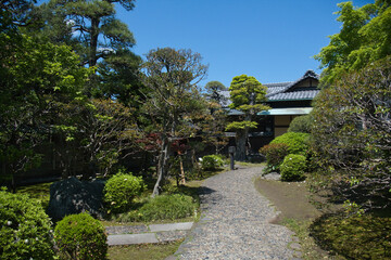 柴又帝釈天の光景