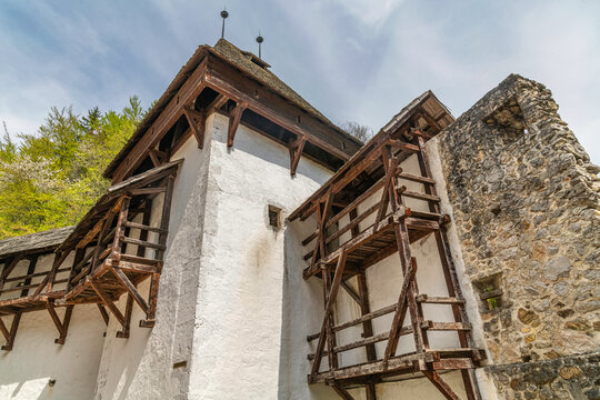 Žiče Charterhouse (German: Kart&auml;userkloster Seiz) was a Carthusian monastery or Charterhouse in the narrow valley of Žičnica Creek, also known as Saint John the Baptist Valley