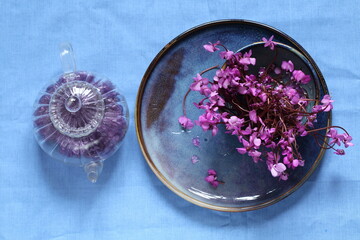 Still life with a bouquet of cyclamens on a blue background