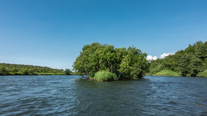 In the riverbed there is a small island with lush green vegetation. The forest grows on the banks. Clear blue sky. Kamchatka