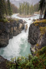 Fototapeta na wymiar Beautiful alpine waterfall on a cloudy day, vertical shot, Jasper National Park, Canada