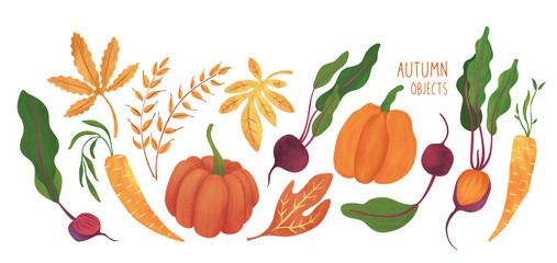 Hand drawn illustrations of autumn objects: fruits and vegetables, harvest, trees, leaves, plants, pumpkin, beet, red beets,  carrots. Cute freehand drawings to create a poster or card.