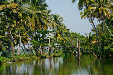 backwaters in alleppey, kerala - obrazy, fototapety, plakaty