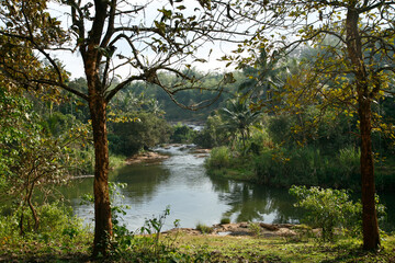 Munnar, Kerala, South India