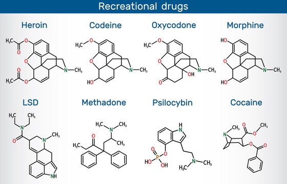 Psychoactive drugs: lysergic acid diethylamide (LSD), oxycodone, heroin, codeine, methadone, morphine, cocaine, psilocybin. Recreational drugs skeletal molecules.