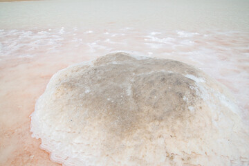 Pink salt pan up close with salt crystals out of focus with grain