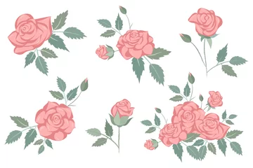 Behang A set of delicate pink roses for design © plaksik13
