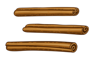 Three brown cinnamon sticks. Isolated on a white background. Sketch of the bark of a cassia or canella plant. Cinnamon spice and flavor. Hand drawn vector illustration in flat cartoon style.