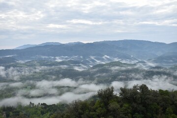 mountains in the fog