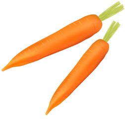 realistic vegetable isolated on a transparent background. high quality vector 