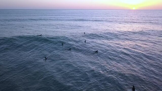Is surfing in America dangerous because of sharks? Gorgeous aerial view flight slowly tilt down drone footage at sunset San Diego Windansea Beach USA 2018. Cinematic view from above by Philipp Marnitz