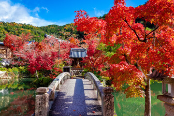 京都の永観堂（禅林寺）で見た、錦雲橋の周りに広がる紅葉と青空