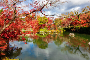 京都の永観堂（禅林寺）で見た、放生池の周りに広がる真っ赤な紅葉