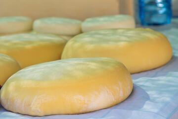 variety of cheeses on market stall